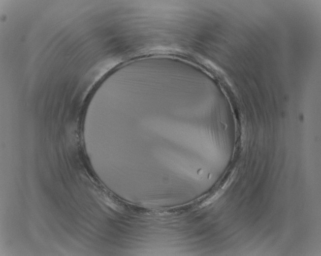 X0000061751170200512231518