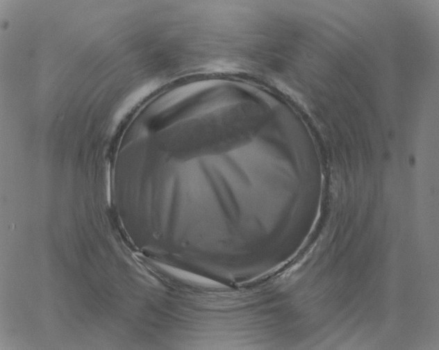 X0000061751171200512231518