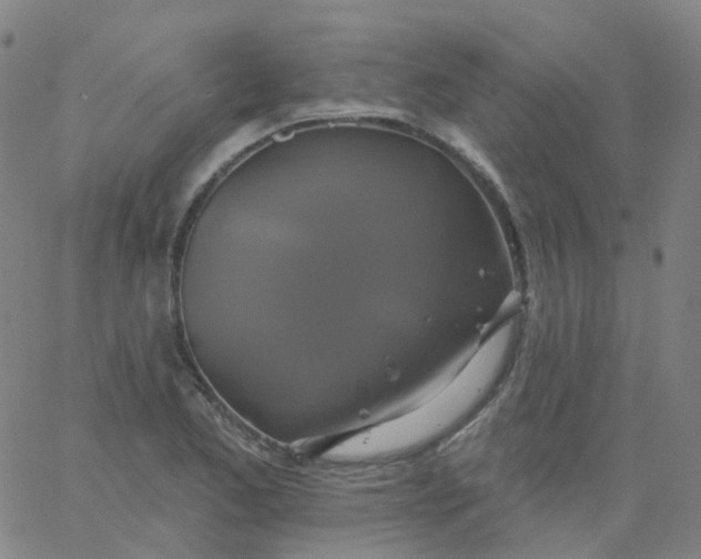 X0000061751173200512231518