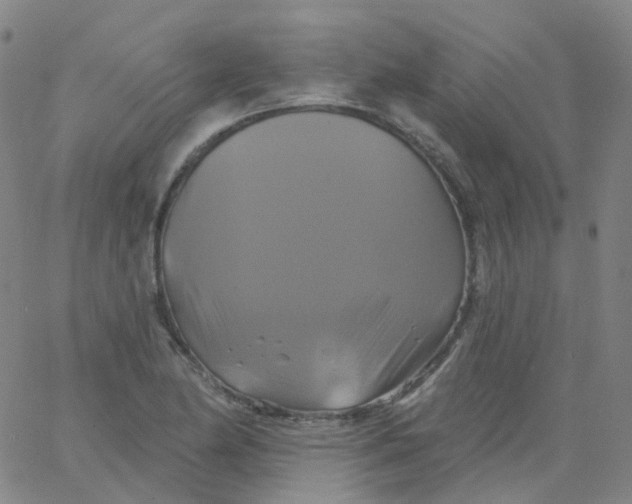 X0000061751174200512231518