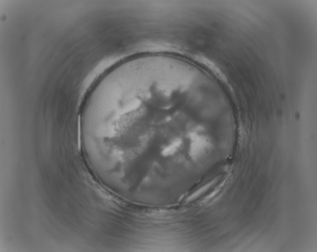 X0000061751175200512231518