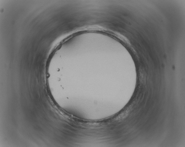 X0000061751176200512231518