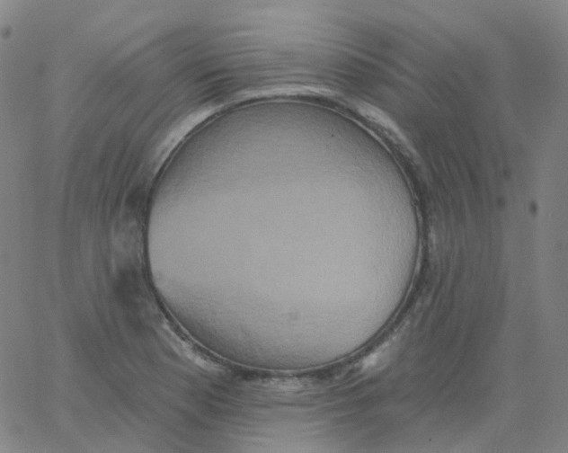 X0000061751177200512231518