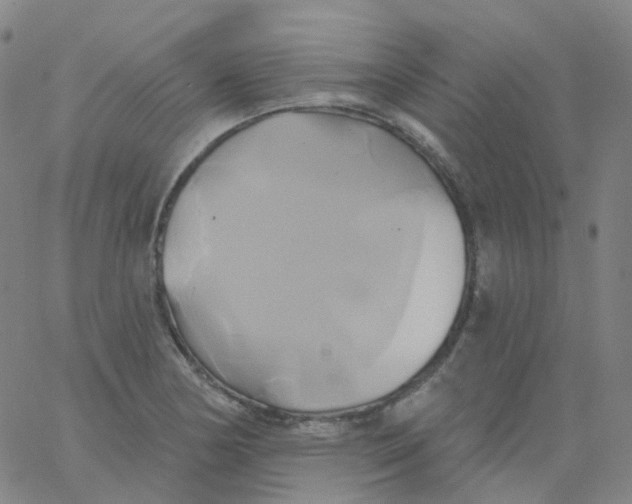 X0000061751178200512231518