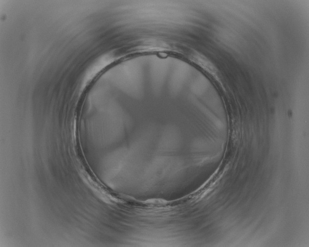 X0000061751179200512231518