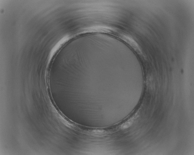 X0000061751180200512231518