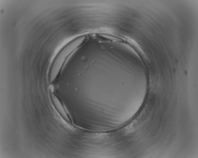 X0000061751184200512231518