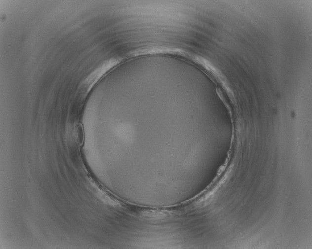 X0000061751185200512231518