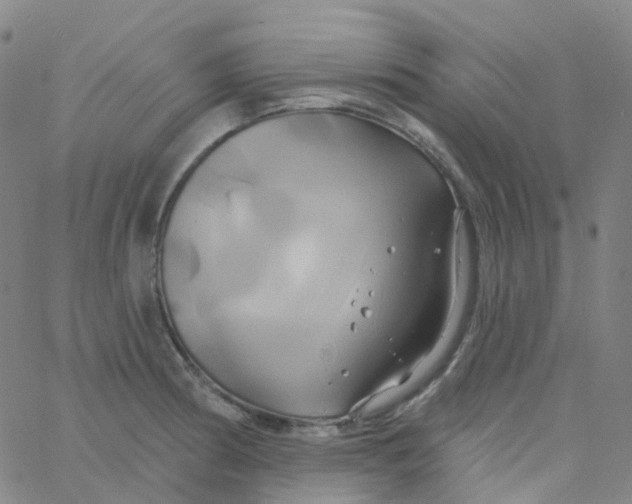 X0000061751186200512231518