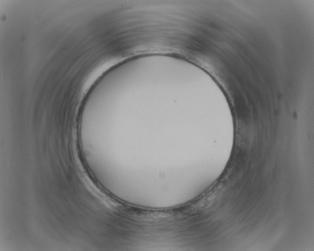 X0000061751187200512231518