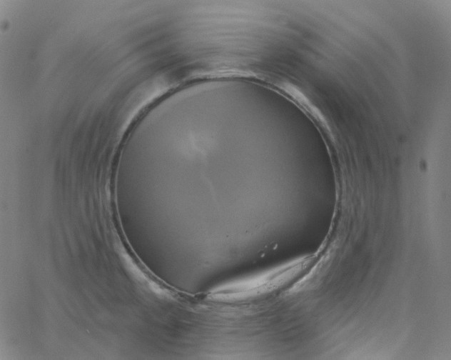 X0000061751189200512231518