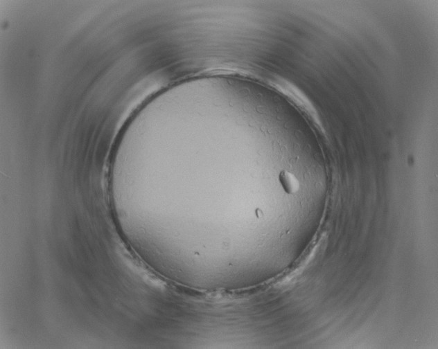 X0000061751190200512231518