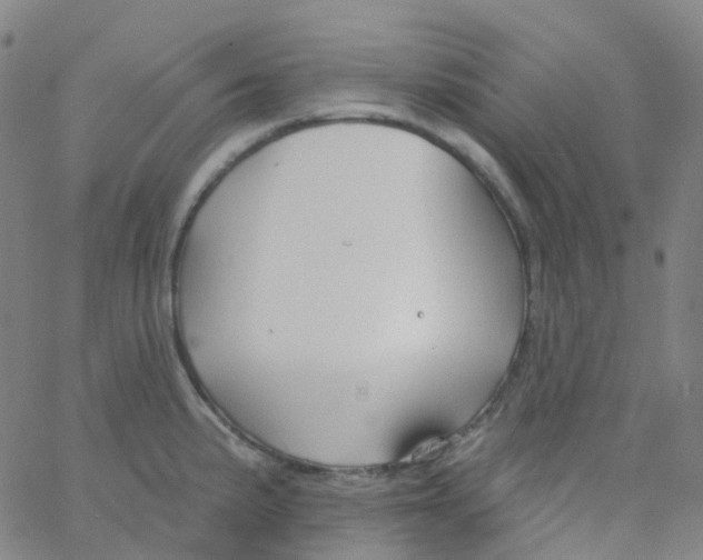 X0000061751191200512231518