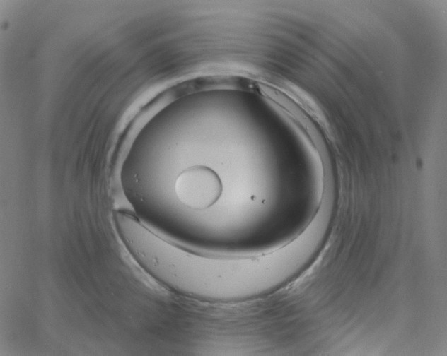 X0000061751192200512231518