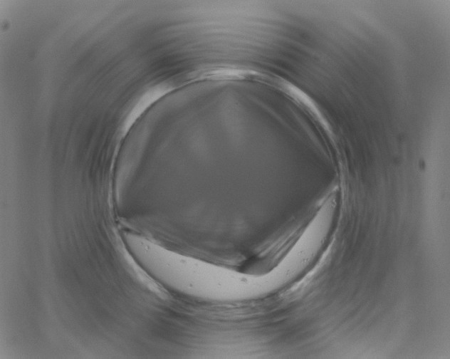 X0000061751194200512231518