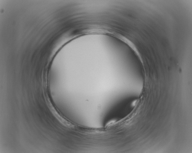 X0000061751195200512231518