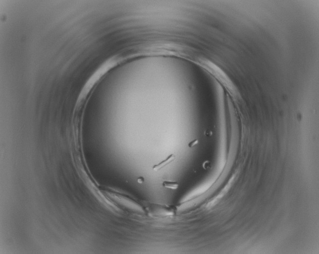 X0000061751196200512231518