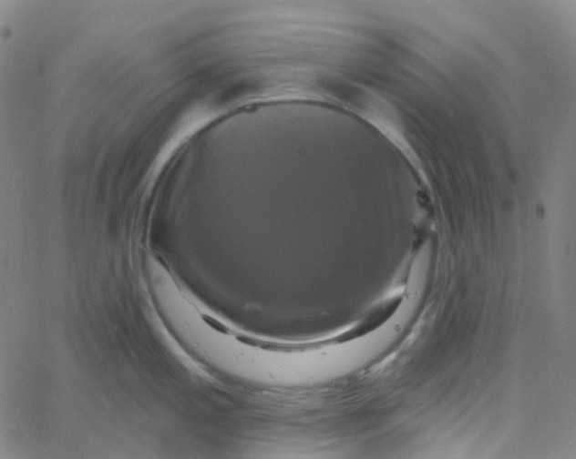 X0000061751197200512231518