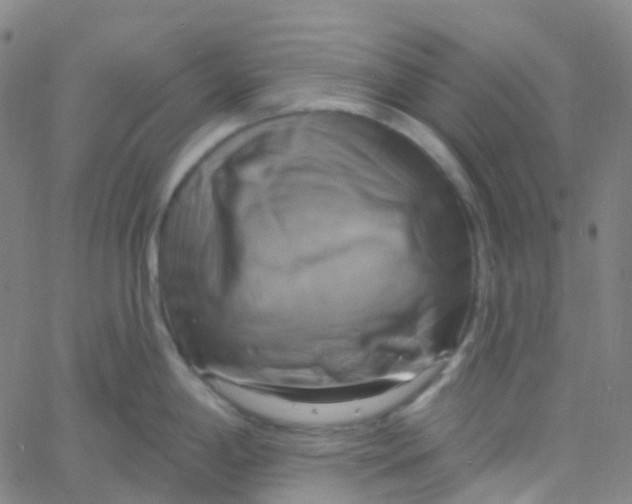 X0000061751198200512231518