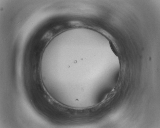 X0000061751199200512231517