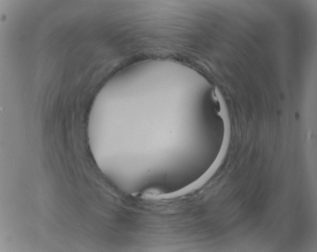 X0000061751201200512231517