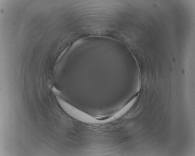 X0000061751202200512231517