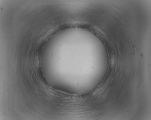 X0000061751204200512231517