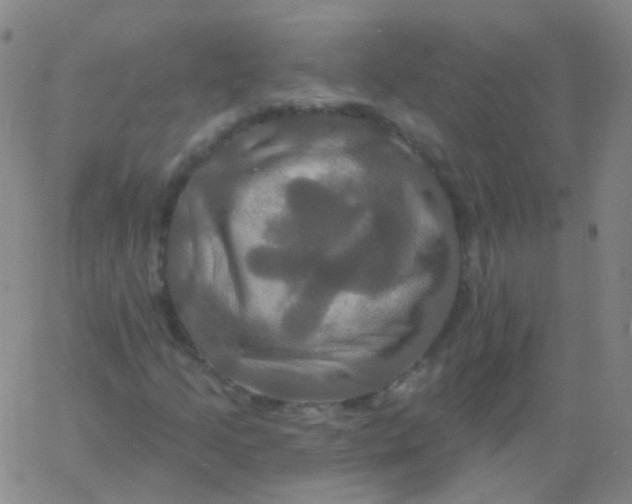 X0000061751205200512231517