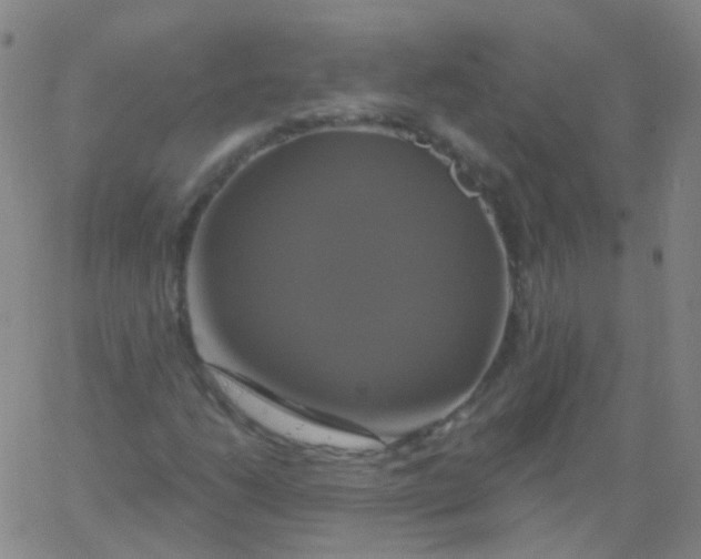 X0000061751206200512231517