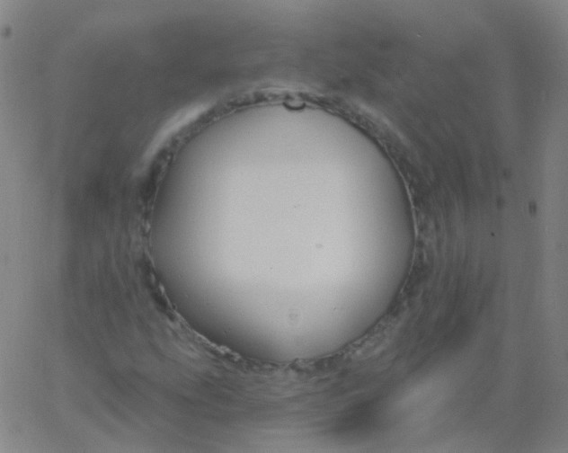 X0000061751207200512231517