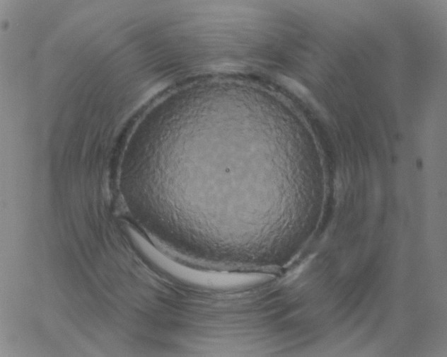 X0000061751209200512231517