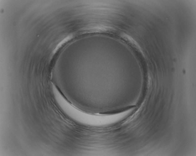 X0000061751210200512231517