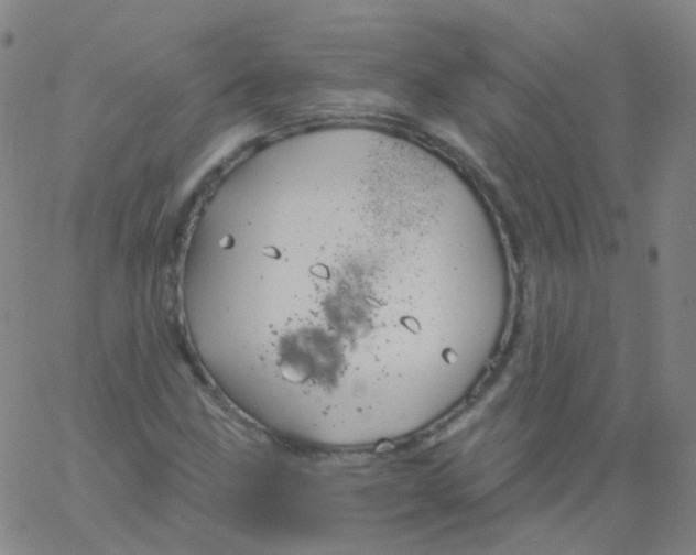 X0000061751211200512231517