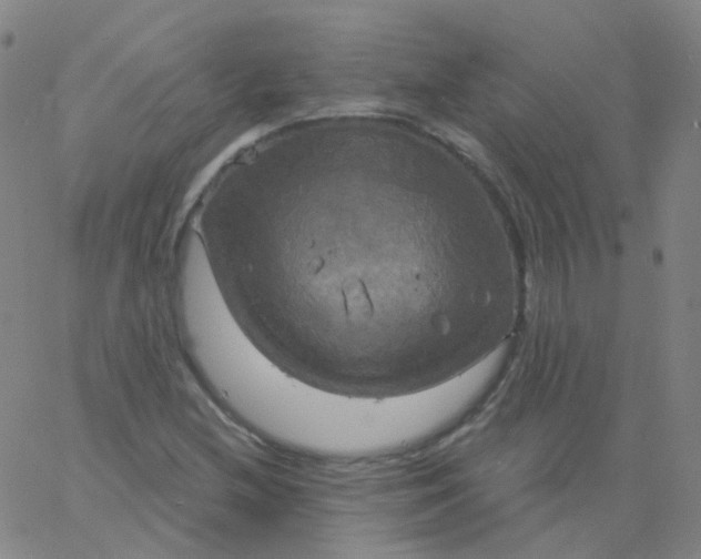 X0000061751212200512231517