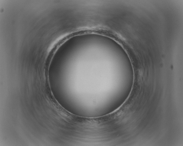 X0000061751214200512231517