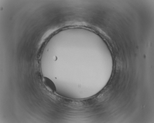 X0000061751215200512231517