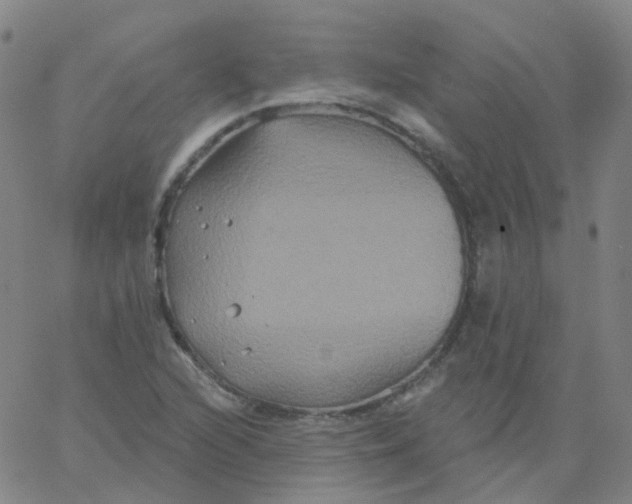 X0000061751216200512231517