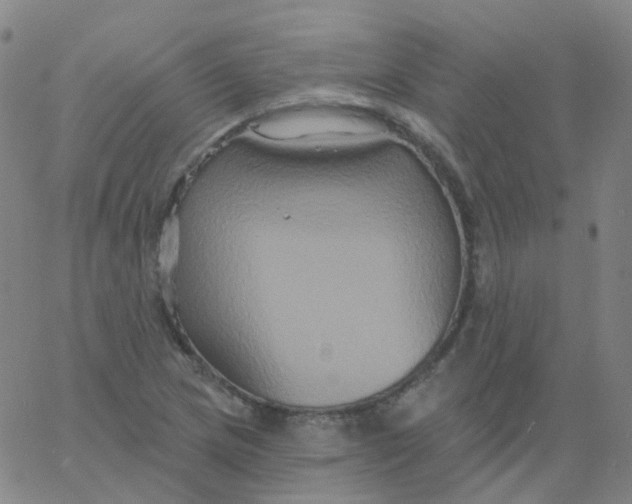 X0000061751217200512231517