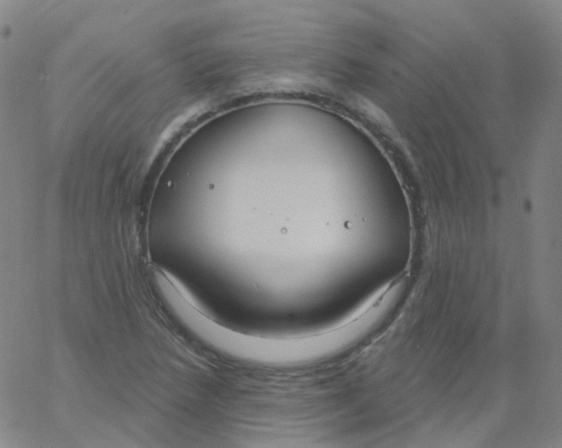 X0000061751218200512231517