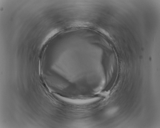 X0000061751219200512231517