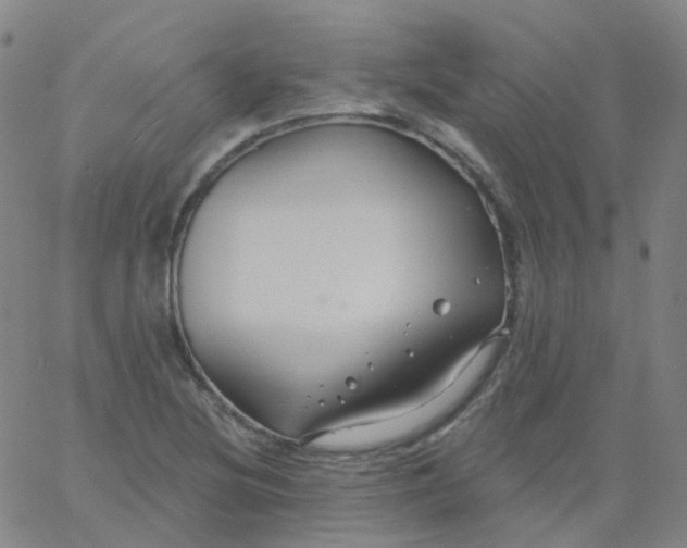 X0000061751220200512231517