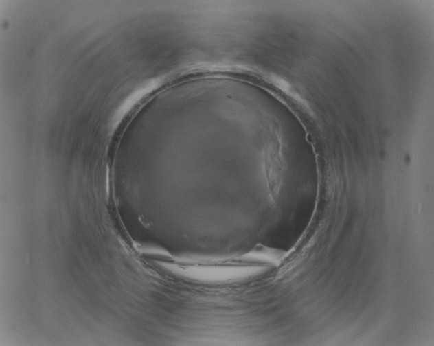 X0000061751221200512231517