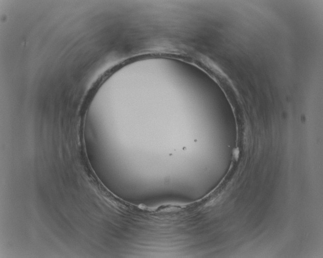 X0000061751222200512231517