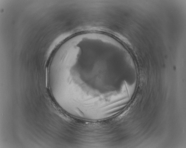 X0000061751223200512231517