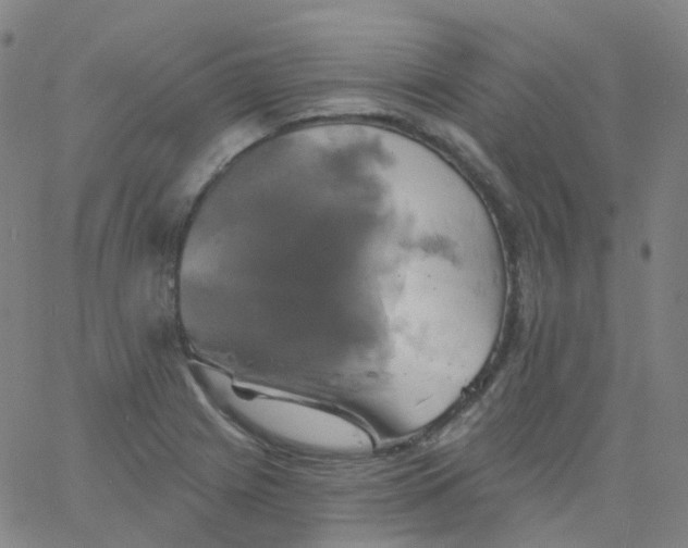 X0000061751225200512231517