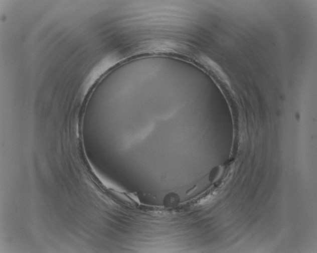 X0000061751226200512231517