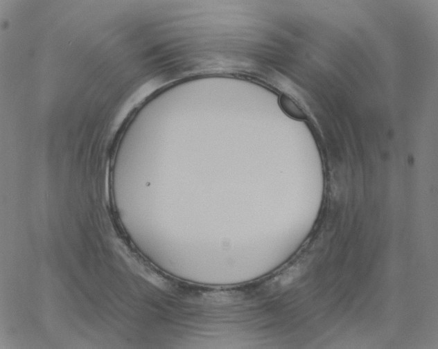 X0000061751227200512231517