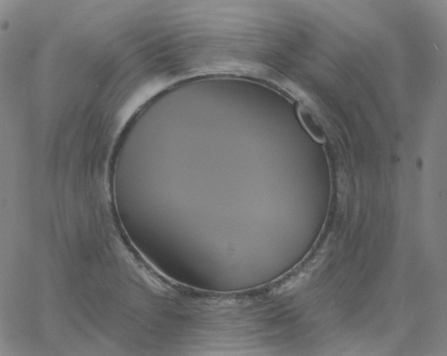 X0000061751230200512231517