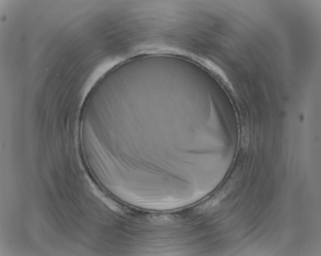 X0000061751231200512231517