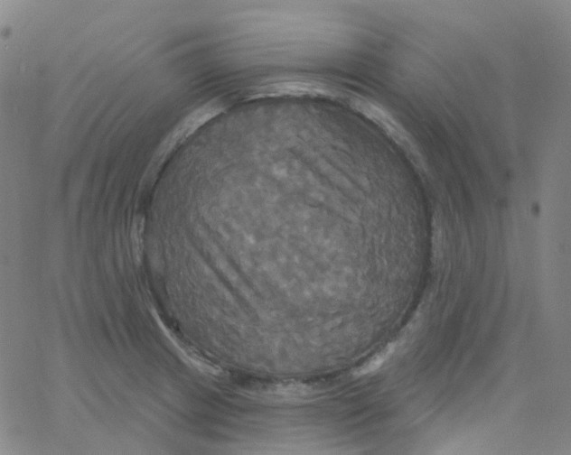 X0000061751233200512231517